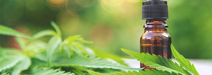 CBD avant opération